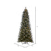 7'6"Hx44"W PE Frosted Slim Douglas Fir Artificial Christmas Tree, LED Pre-Lit -Green - K224576LED