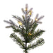 10'Hx54"W PE Frosted Slim Douglas Fir Artificial Christmas Tree, LED Pre-Lit -Green - K224586LED