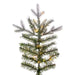 6'6"Hx50"W PE Frosted Douglas Fir Artificial Christmas Tree, Micro LED Pre-Lit -Green - K224668LED