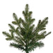 5'6"Hx38"W PE Slim Georgian Fraser Fir Artificial Christmas Tree, Unlit -Green - K230455