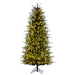 6'6"Hx42"W PE Slim Georgian Fraser Fir Artificial Christmas Tree, LED Pre-Lit -Green - K230466LED