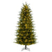 6'6"Hx42"W PE Slim Georgian Fraser Fir Artificial Christmas Tree, Micro LED Pre-Lit -Green - K230566LED