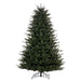 12'Hx72"W PE Georgian Fraser Fir Artificial Christmas Tree, Unlit -Green - K230690