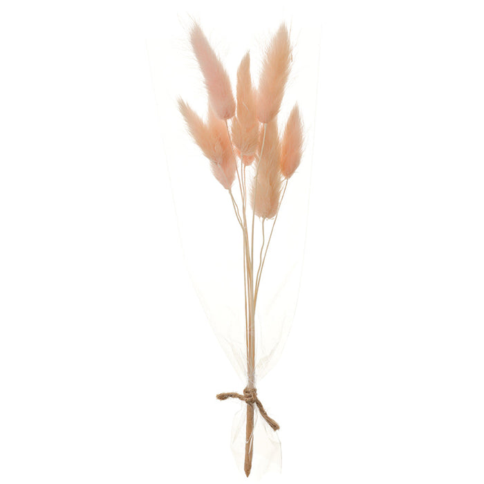 9" Preserved Foxtail Grass Flower Stem Bundle -Pink (pack of 12) - KBF014-PK