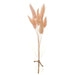 9" Preserved Foxtail Grass Flower Stem Bundle -Pink (pack of 12) - KBF014-PK