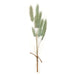 9" Preserved Foxtail Grass Flower Stem Bundle -Seafoam (pack of 12) - KBF014-SF