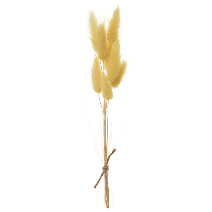 9" Preserved Foxtail Grass Flower Stem Bundle -Yellow (pack of 12) - KBF014-YE