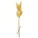 9" Preserved Foxtail Grass Flower Stem Bundle -Yellow (pack of 12) - KBF014-YE