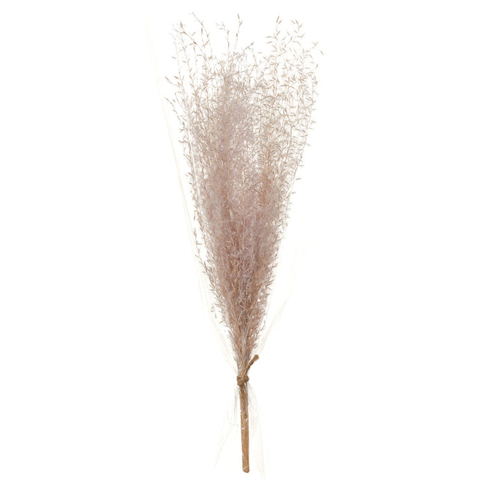 13.7" Preserved Grass Stem Bundle -Lavender (pack of 12) - KBG012-LV