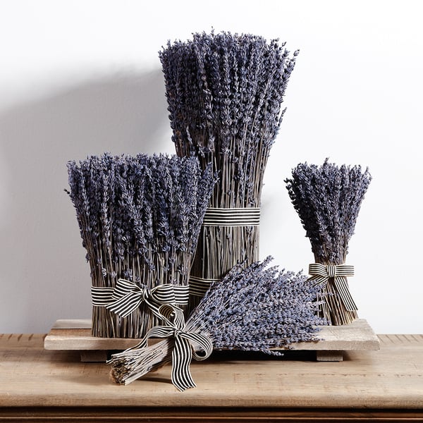 14.5" Preserved Lavender Flower Bouquet -Lavender (pack of 6) - KBQ011-LV