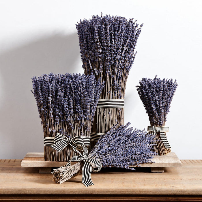 14.5" Preserved Lavender Flower Bouquet -Lavender (Pack of 6) - KBQ011-LV