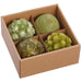 3" Set Of Preserved Rattan Leaf Ball-Shaped Topiary -2 Tone Green (Pack of 12) - KFO129-GR/TT