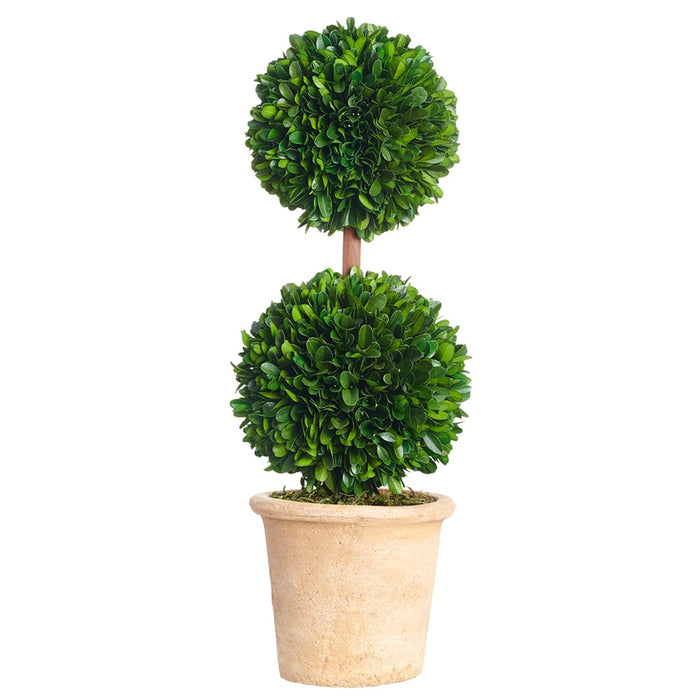 16.5" Preserved Boxwood Double Ball-Shaped Topiary Plant -Green - KPB071-GR