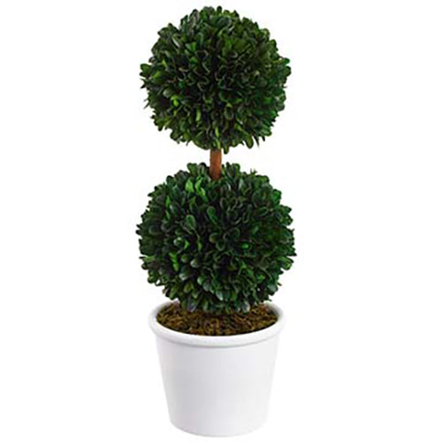 16.5" Preserved Boxwood Double Ball-Shaped Topiary w/Pot -Green - KRB101-GR