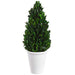 16.5" Preserved Boxwood Cone-Shaped Topiary w/Pot -Green - KRB103-GR