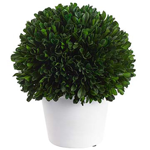 9" Preserved Boxwood Ball-Shaped Topiary w/Pot -Green - KRB108-GR