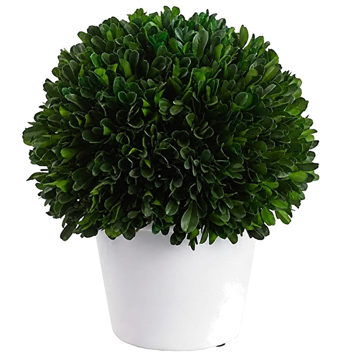 9.5" Preserved Boxwood Ball-Shaped Topiary w/Pot -Green - KRB108-GR
