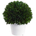 9" Preserved Boxwood Ball-Shaped Topiary w/Pot -Green - KRB108-GR