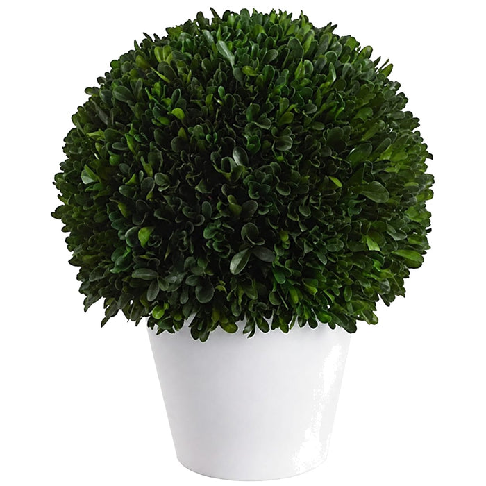 13.5" Preserved Boxwood Ball-Shaped Topiary w/Pot -Green - KRB109-GR