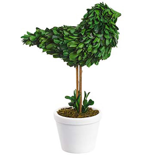 11.5" Preserved Boxwood Bird-Shaped Topiary w/Clay Pot -Green - KRB178-GR