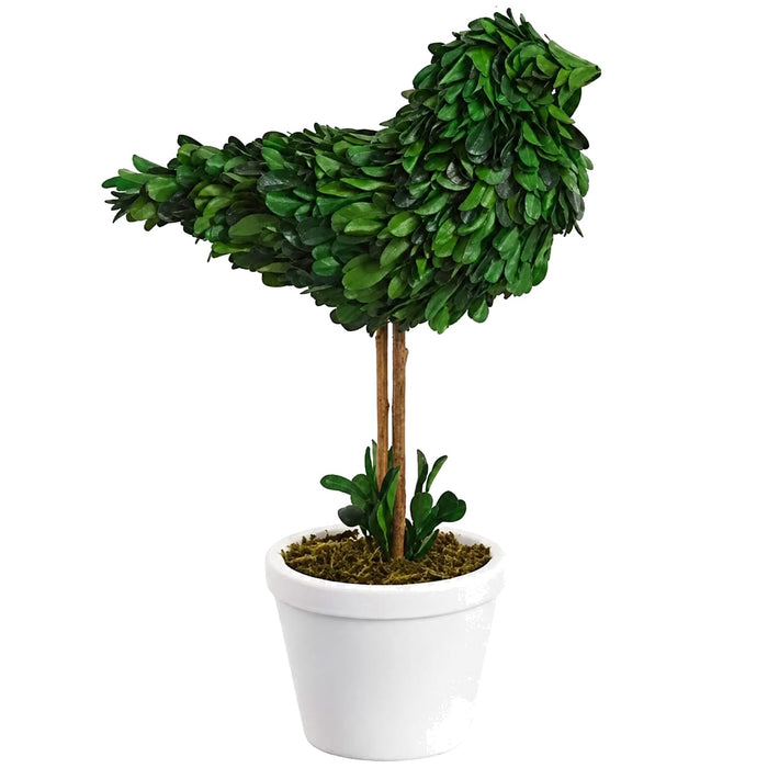 11.5" Preserved Boxwood Bird-Shaped Topiary w/Clay Pot -Green - KRB178-GR