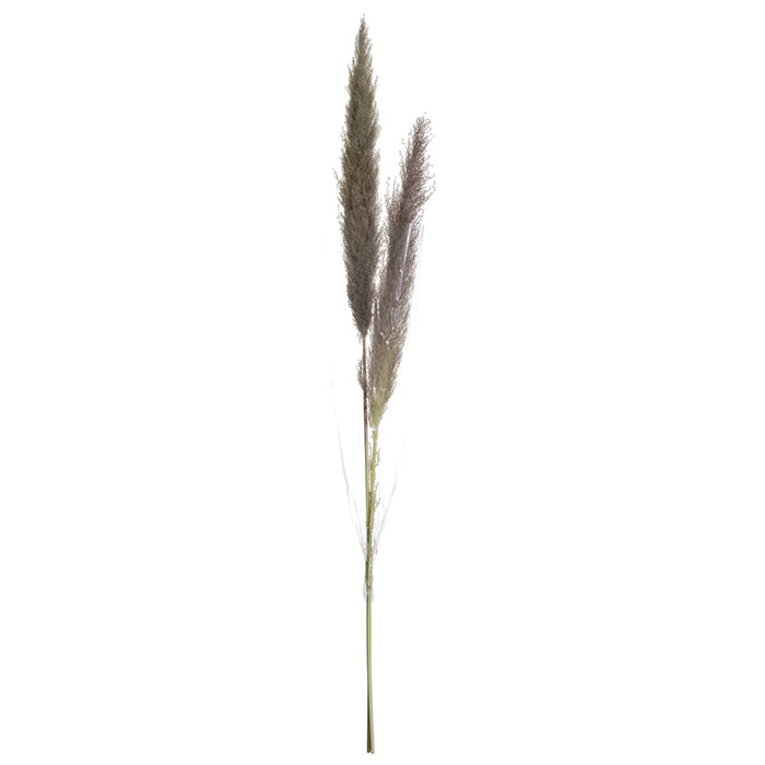 49" Preserved Pampas Grass Stem Bundle -Beige/Gray (pack of 12) - KSG271-BE/GY