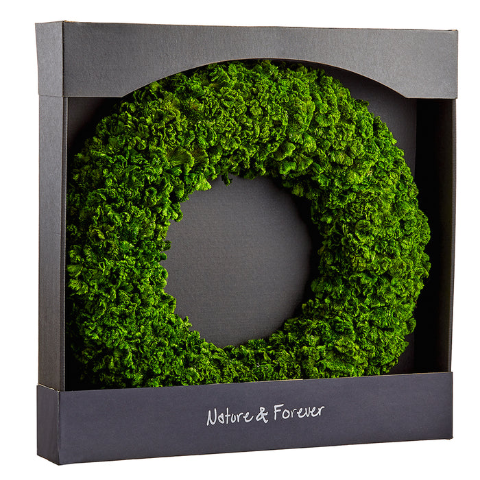 preserved hanging plants 21" Preserved Celosia Hanging Wreath -Green