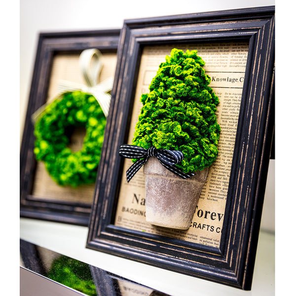 9.7"Hx7.6"W Preserved Celosia Cone-Shaped Topiary w/Pot In Frame -Green/Brown (pack of 5) - KZC524-GR/BR