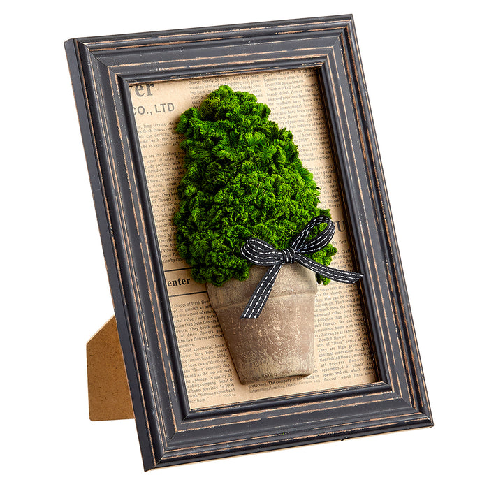 9.7"Hx7.6"W Preserved Celosia Cone-Shaped Topiary w/Pot In Frame -Green/Brown (pack of 5) - KZC524-GR/BR