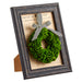 9.7"Hx7.6"W Preserved Celosia Wreath-Shaped Topiary w/Pot In Frame -Green/Brown (pack of 5) - KZX570-GR/BR