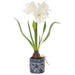28.5" Silk Amaryllis With Bulb Flower Arrangement w/Ceramic Vase -White (pack of 2) - LFA040-WH