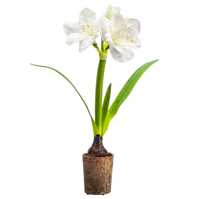 22" Silk Amaryllis With Bulb Flower Arrangement w/Cement Pot -White (pack of 4) - LFA041-WH