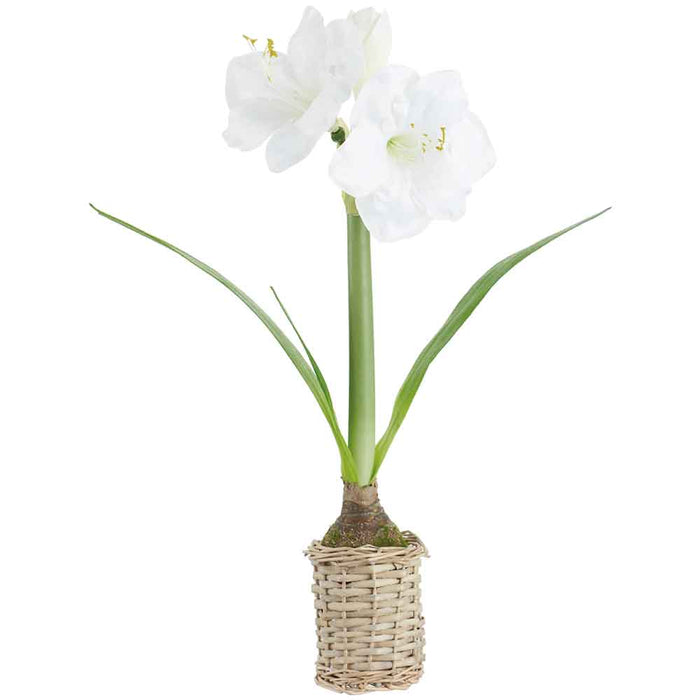 20.5" Amaryllis With Bulb Silk Flower Arrangement w/Basket -White (Pack of 4) - LFA205-WH