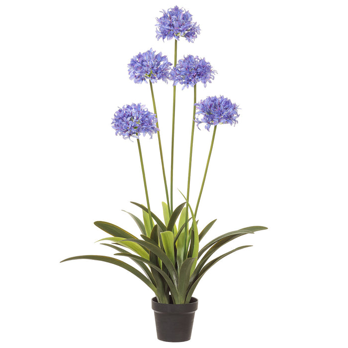 45.4" Agapanthus Silk Flower Arrangement w/Plastic Pot -Blue - LFA454-BL
