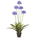 45.4" Agapanthus Silk Flower Arrangement w/Plastic Pot -Blue - LFA454-BL