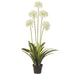 45.4" Agapanthus Silk Flower Arrangement w/Plastic Pot -Cream - LFA454-CR