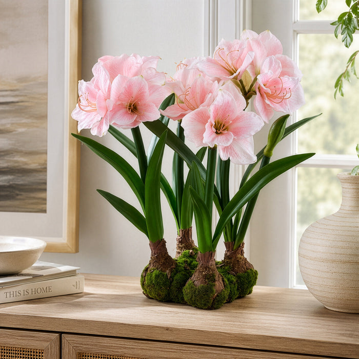 22" Standing Silk Amaryllis Flower Arrangement w/4 Bulb Base -Pink - LFA718-PK