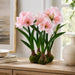22" Standing Silk Amaryllis Flower Arrangement w/4 Bulb Base -Pink - LFA718-PK