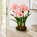 22" Standing Silk Amaryllis Flower Arrangement w/4 Bulb Base -Pink - LFA718-PK