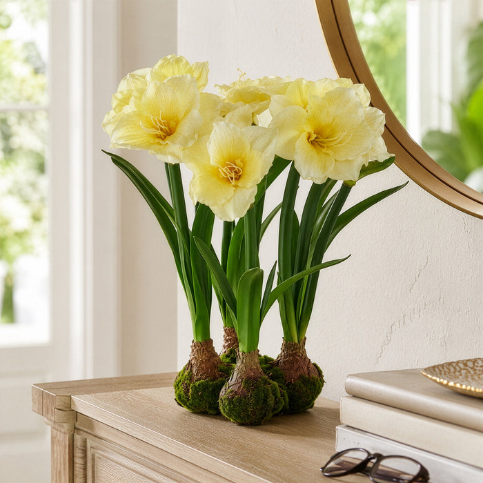 22" Standing Silk Amaryllis Flower Arrangement w/4 Bulb Base -Yellow - LFA718-YE