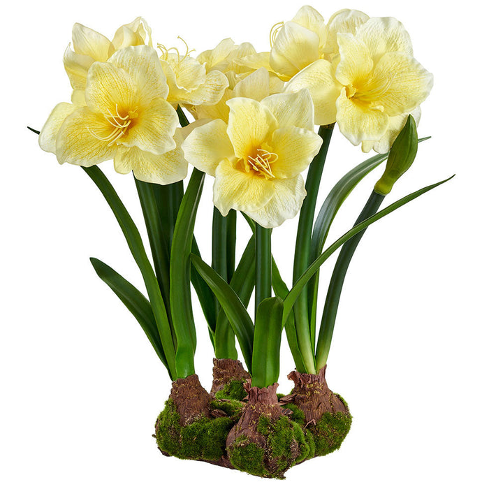 22" Standing Silk Amaryllis Flower Arrangement w/4 Bulb Base -Yellow - LFA718-YE