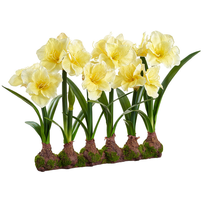 22" Standing Silk Amaryllis Flower Arrangement w/Bulb Base -Yellow - LFA732-YE