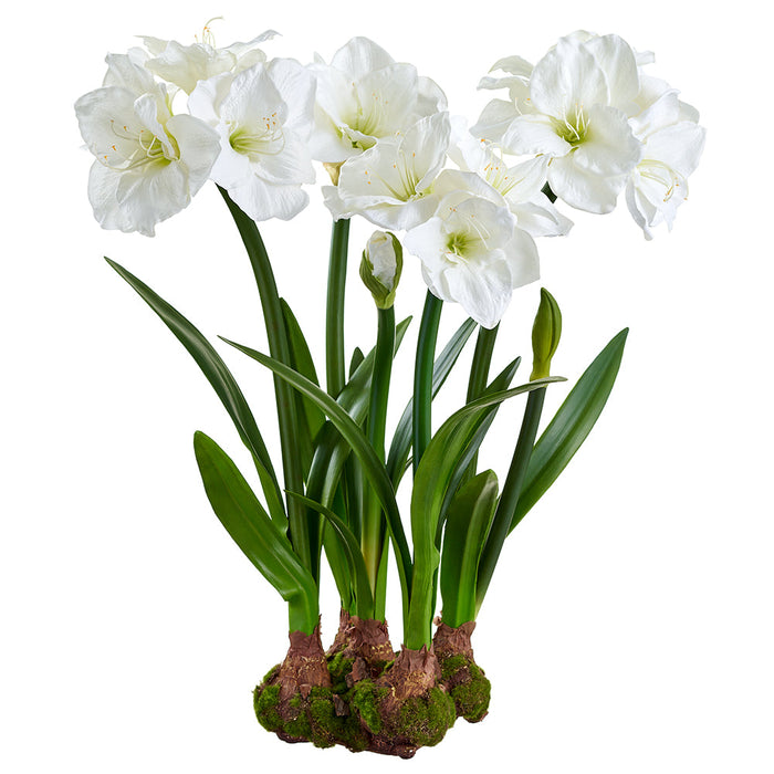 30" Standing Silk Amaryllis Flower Arrangement w/Bulb Base -White - LFA773-WH