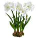 30" Standing Silk Amaryllis Flower Arrangement w/Bulb Base -White - LFA773-WH