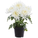 17" Outdoor UV-Resistant Artificial Flowering Chrysanthemum Plant w/Pot -White (Pack of 4) - LFC003-WH