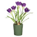11.5" Silk Crocus & Bulb Flower Arrangement w/Mgo Planter -Purple (pack of 4) - LFC094-PU
