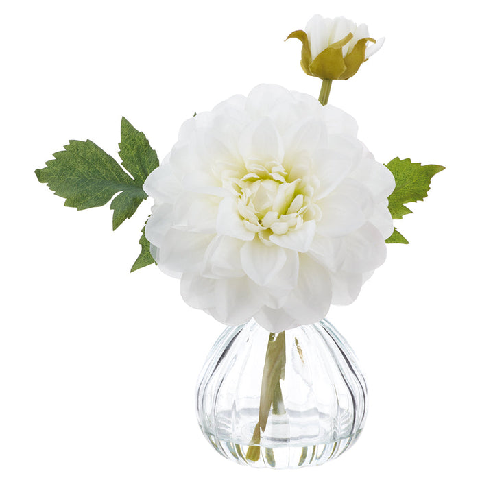 8.5" Dahlia Silk Flower Arrangement w/Glass Vase -White (Pack of 6) - LFD090-WH
