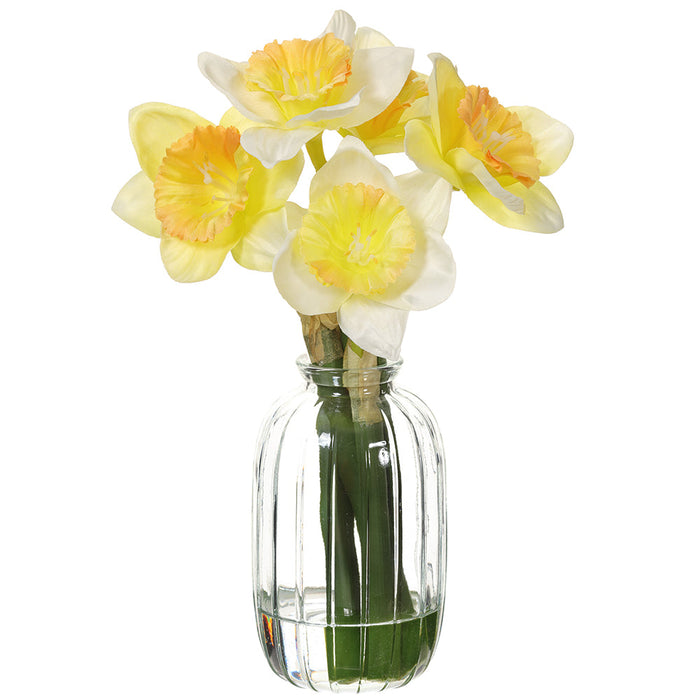 9" Daffodil Silk Flower Arrangement w/Glass Vase -Yellow (pack of 6) - LFD121-YE