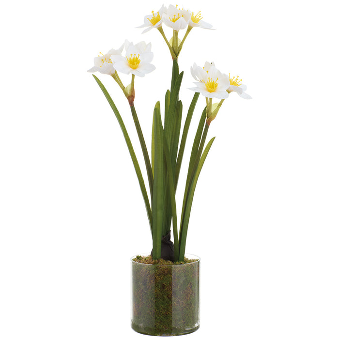 21" Daffodil Artificial Flower Arrangement w/Clear Plastic Pot -White (Pack of 6) - LFD300-WH/YE