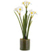 21" Daffodil Artificial Flower Arrangement w/Clear Plastic Pot -White (Pack of 6) - LFD300-WH/YE